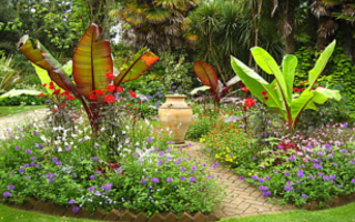 The-Abbotsbury-Subtropical-Gardens